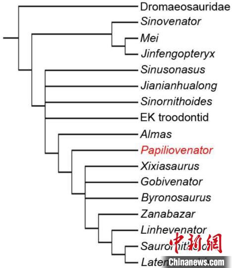 Scienziati cinesi scoprono nuovo dinosauro in Mongolia Interna