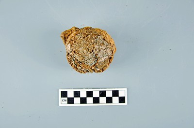 Cultura del tè in Cina risalente al 400 a.C.