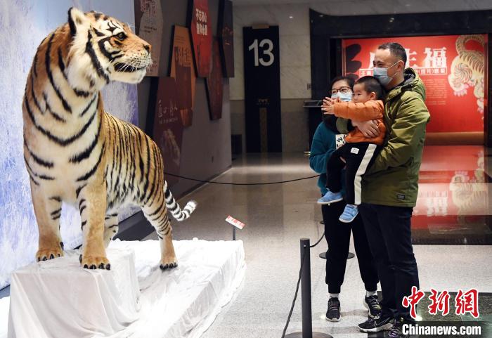 Fuzhou, Esposizione culturale in occasione della Festa di Primavera dell'Anno della Tigre