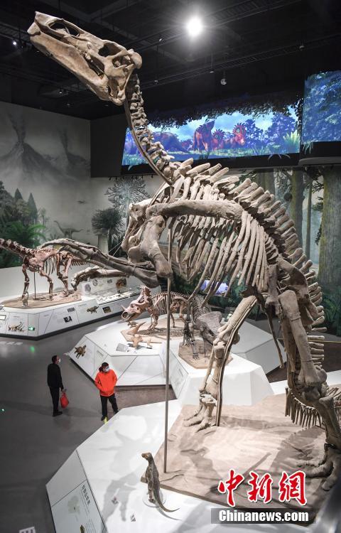 Riaperto il Museo di Shandong