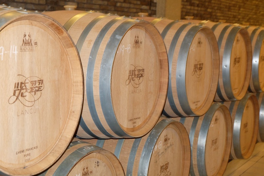 Ningxia, Cina: terreni aridi trasformati in vigneti e cantine