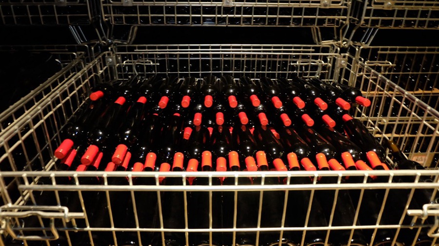 Ningxia, Cina: terreni aridi trasformati in vigneti e cantine