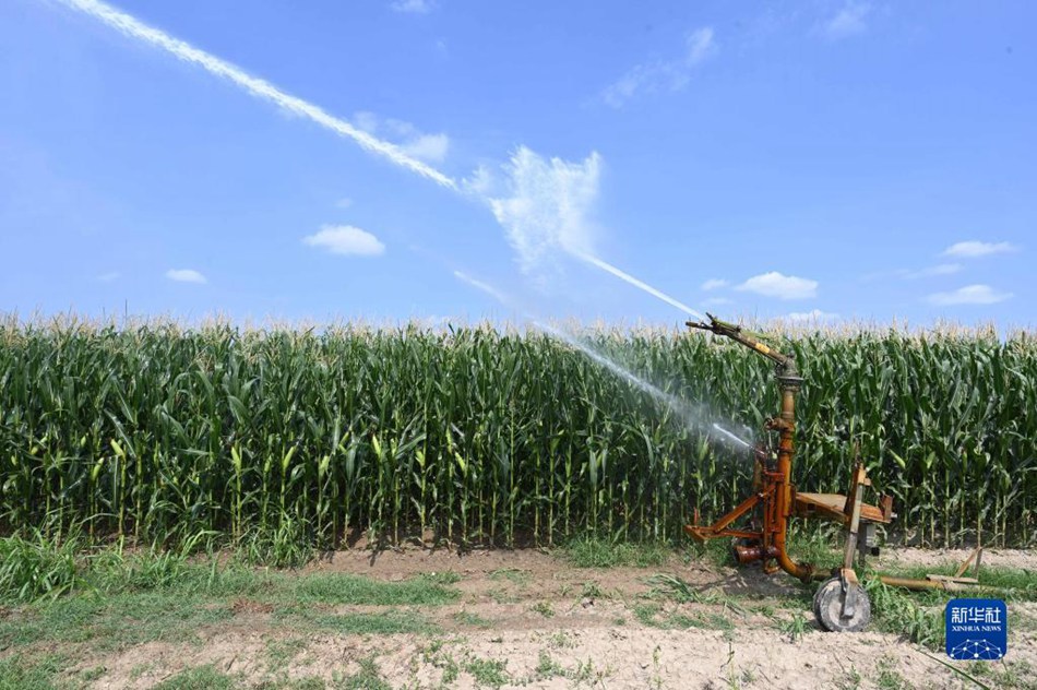 Italia: continua la siccità, produzione agricola minacciata