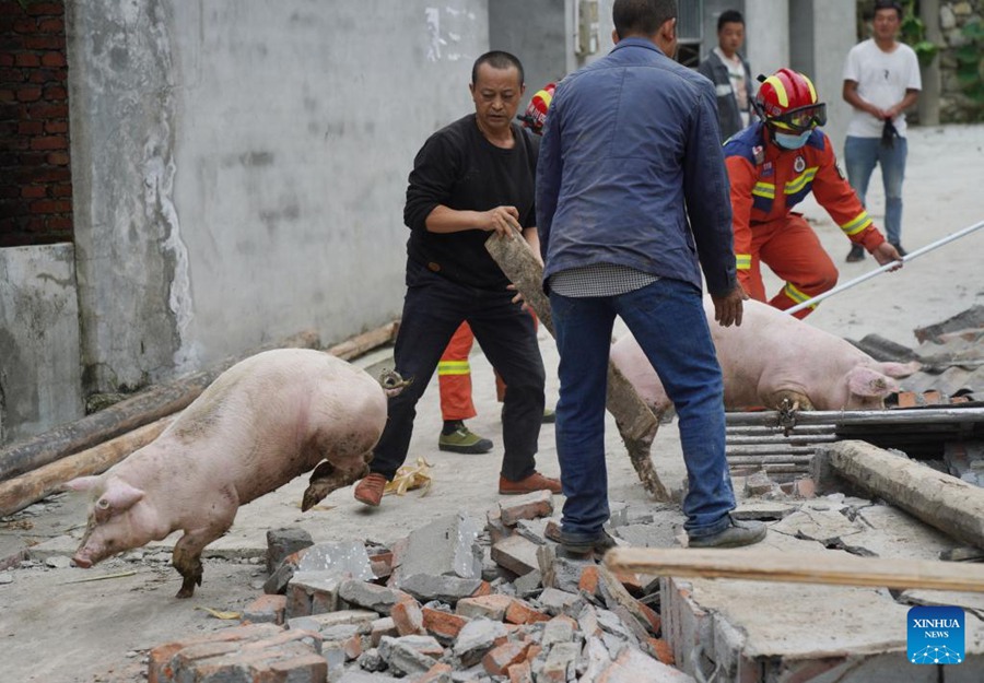 Sichuan: i soccorritori aprono un 