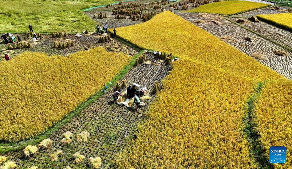 La contea nello Shaanxi trasforma le risorse ecologiche in economia verde