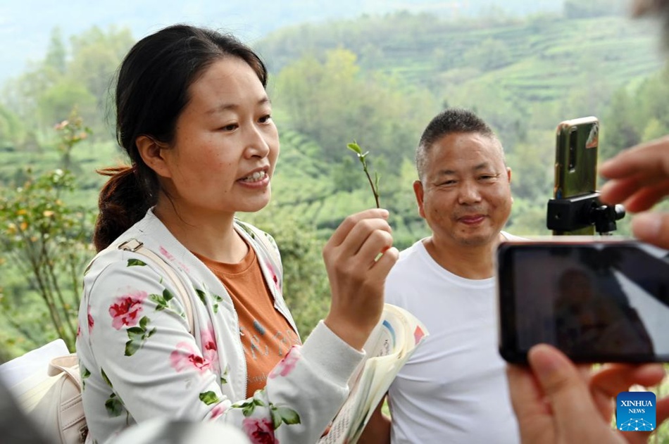 La contea nello Shaanxi trasforma le risorse ecologiche in economia verde