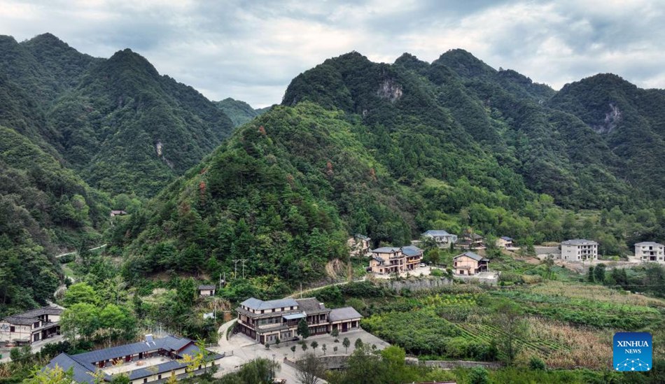 La contea nello Shaanxi trasforma le risorse ecologiche in economia verde
