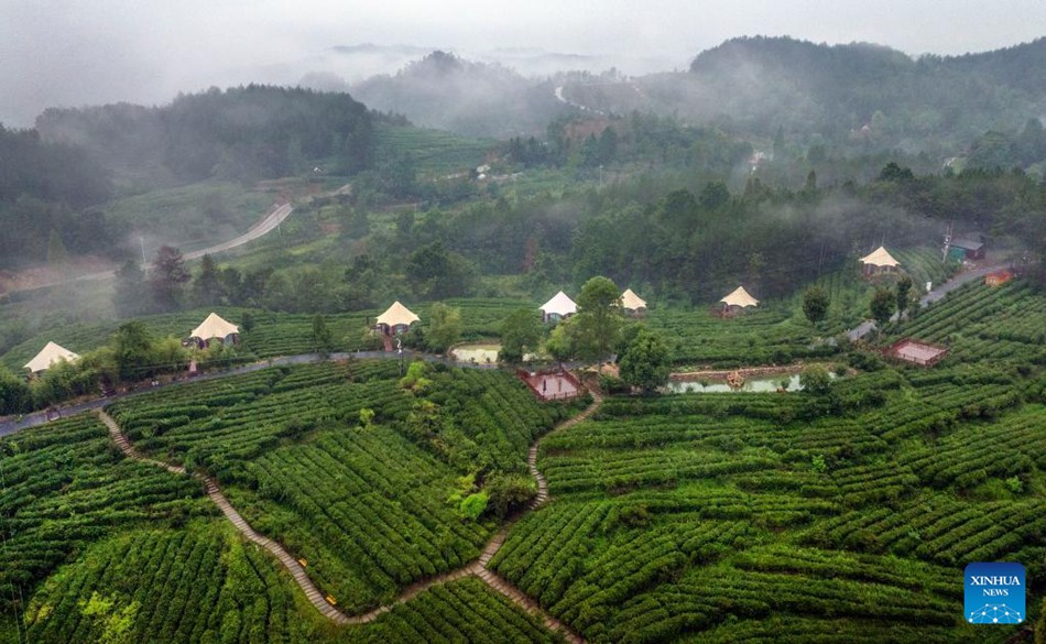 La contea nello Shaanxi trasforma le risorse ecologiche in economia verde