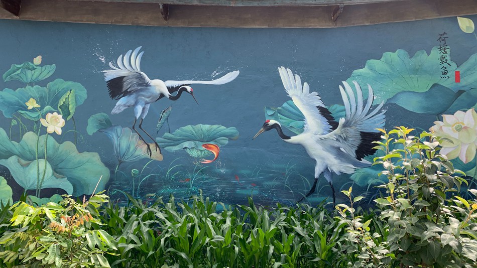 Giovane artista decora le pareti di un villaggio dello Yunnan con vivaci dipinti