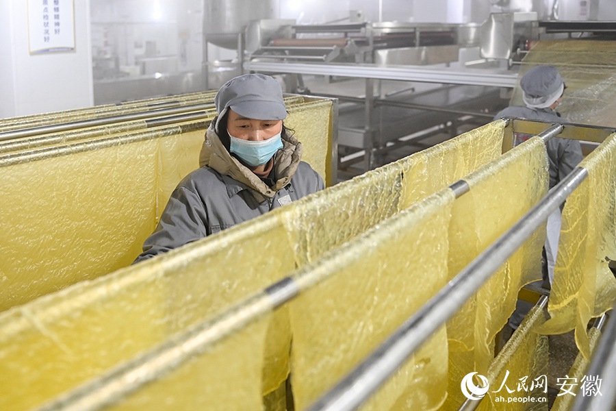 Villaggio del tofu a Huainan