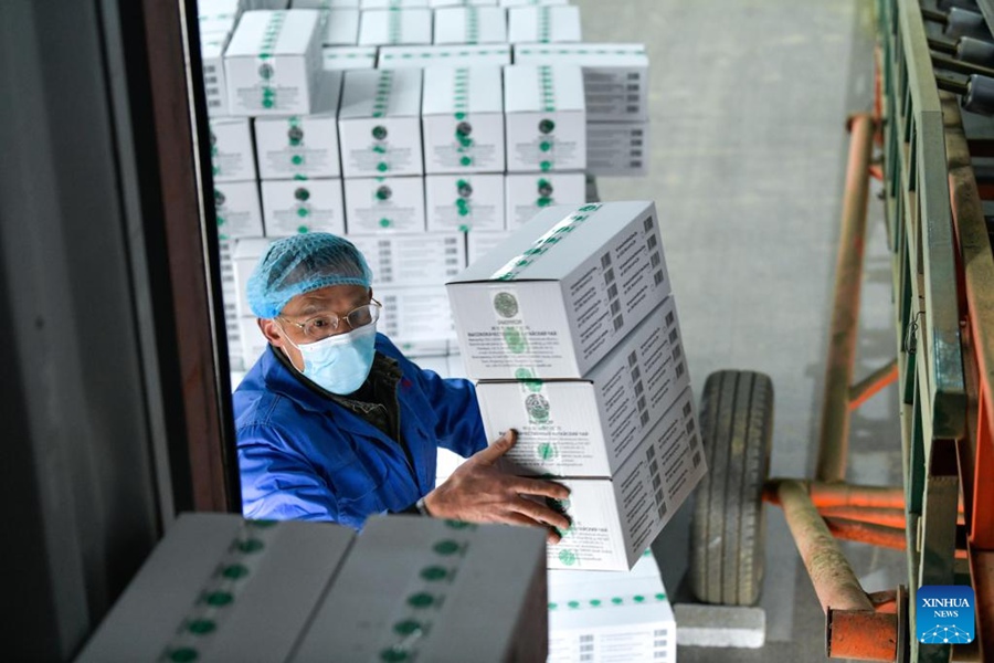 Pu'an, Guizhou: gli agricoltori beneficiano dell'industria del tè 