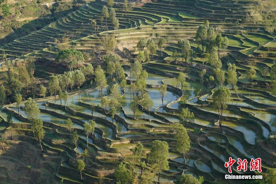 (Foto: China News Service/Liu Ranyang)