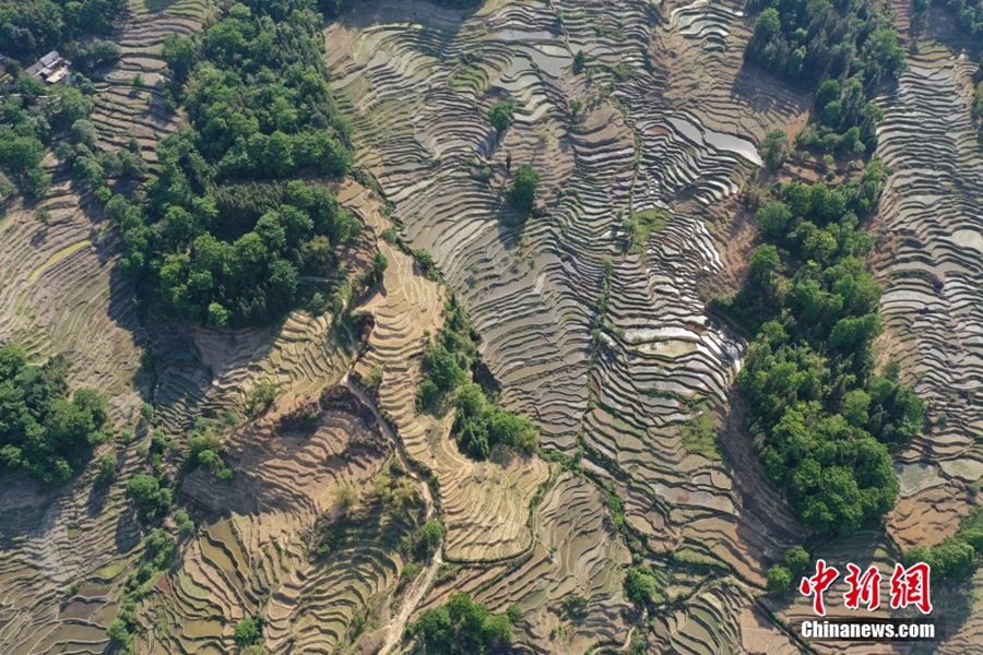 Yunnan, paesaggi pittoreschi delle terrazze di riso Hani