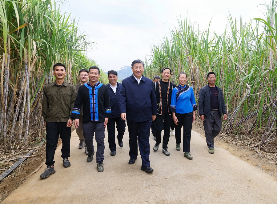 Viaggio d'ispezione di Xi Jinping a Laibin