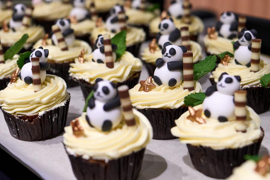 Tre panda giganti nati in Belgio tornano in Cina