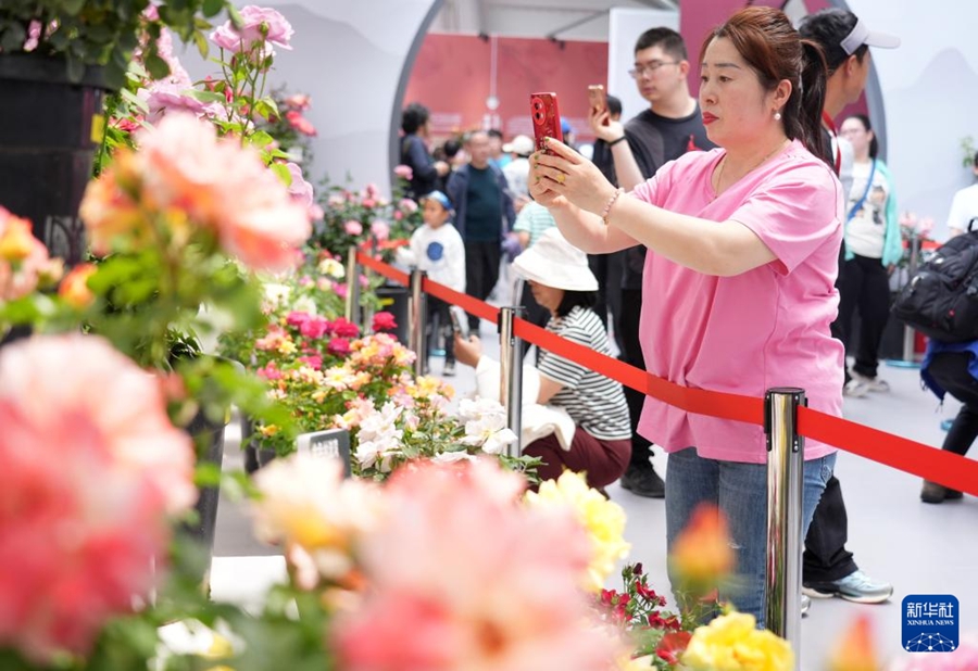 Beijing ospita la 9a Conferenza Internazionale sulla Rosa Chinensis