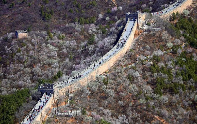 Turisti visitano il tratto Badaling della Grande Muraglia. (2 aprile 2025 - Quotidiano del Popolo Online/Zhang Xiuke)
