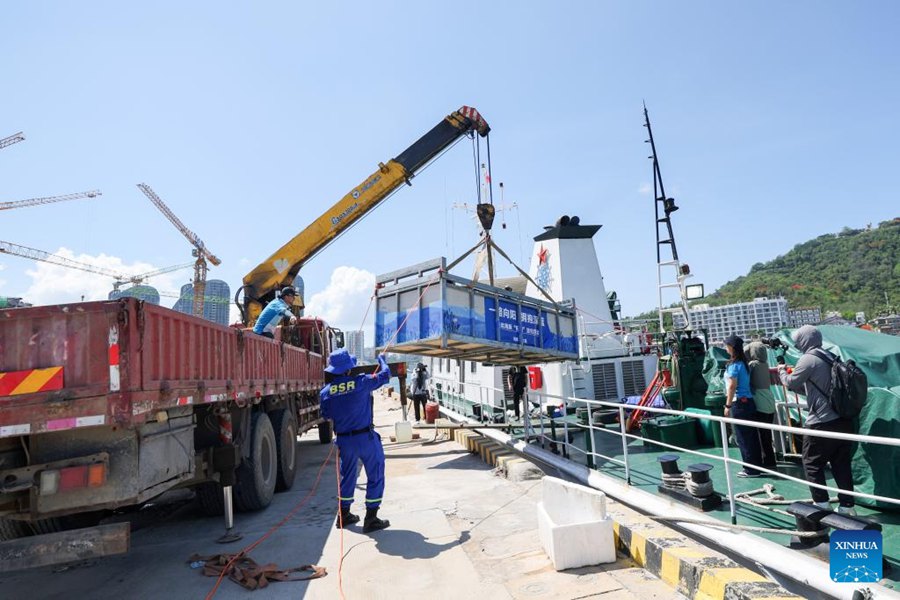 Delfino arenato torna in mare dopo aver ricevuto cure specialistiche a Sanya
