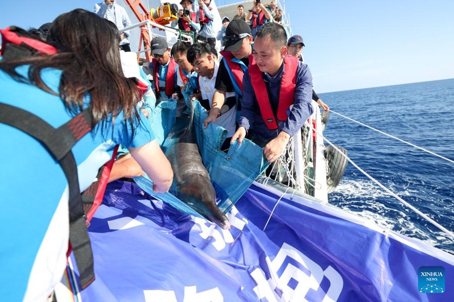 Delfino arenato torna in mare dopo aver ricevuto cure specialistiche a Sanya
