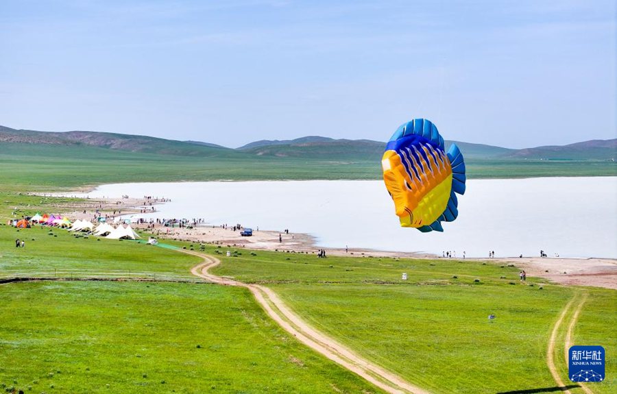Bandiera di Taibus, Mongolia Interna: il magico 