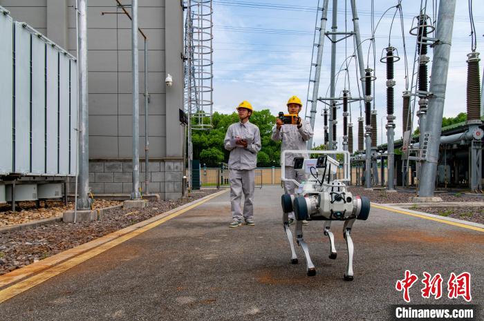 Zhejiang: robot con intelligenza incarnata ispezionano la rete elettrica per garantire la sicurezza