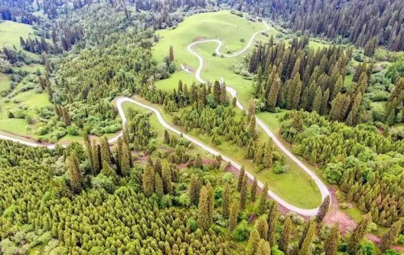 Strada nella valle di Panlong, nella contea di Xinyuan, Xinjiang. (Foto: Xinyuan County Media Center)