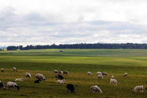 Paesaggio della prateria di Hulun Buir, nella Mongolia Interna