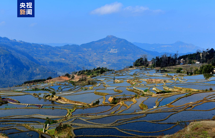 I terrazzamenti dell'etnia Hani di Yuanyang nello Yunnan.