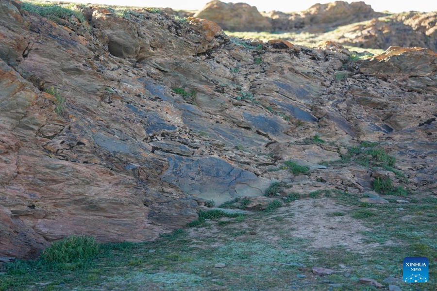 La Cina scopre una stele incisa della dinastia Qin sull'altopiano Qinghai-Xizang