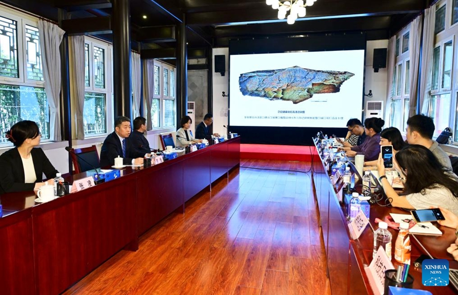 La Cina scopre una stele incisa della dinastia Qin sull'altopiano Qinghai-Xizang