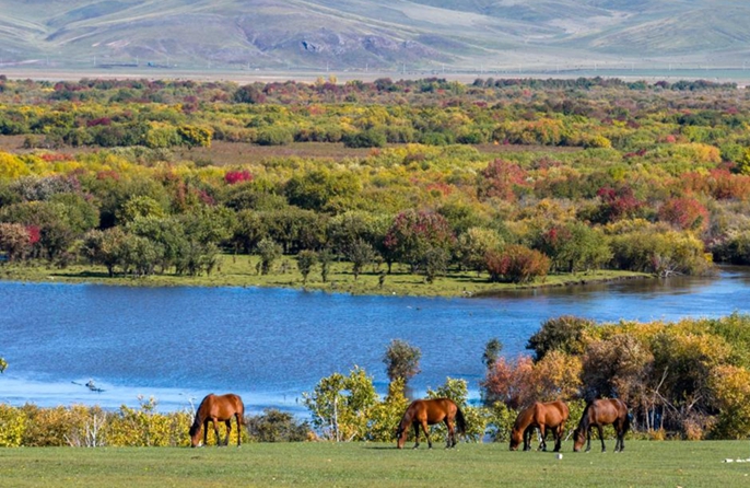 Veduta della zona umida attorno al fiume Ergune nella Mongolia Interna cinese