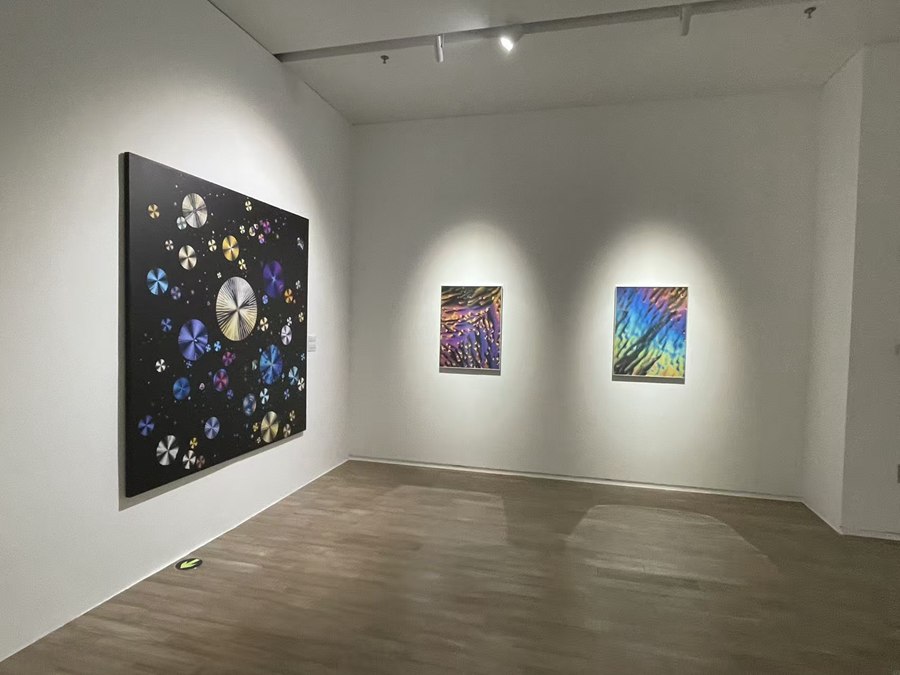 Arte e scienza si incontrano nel Distretto Guangming di Shenzhen