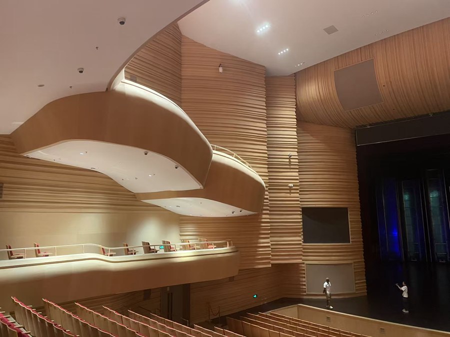 Arte e scienza si incontrano nel Distretto Guangming di Shenzhen