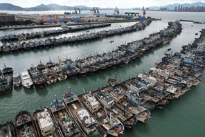 Fujian, pescherecci rientrano in porto ed equipaggi sbarcano in vista del tifone Ragasa