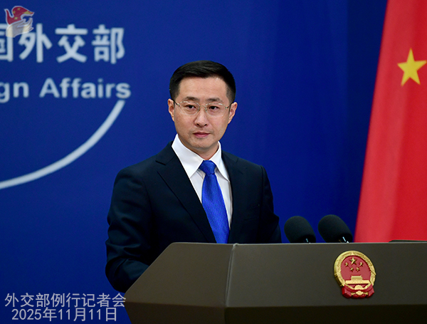 La Cina esorta l'UE a fornire un ambiente imprenditoriale equo, trasparente e non discriminatorio per le aziende cinesi