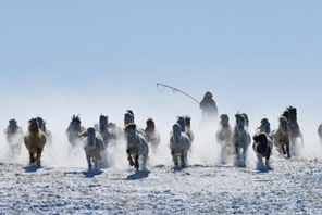 Al galoppo nella neve verso l'Anno del Cavallo