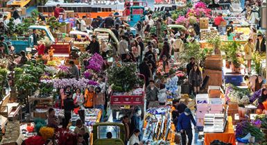 Il Mercato dei fiori Dounan registra un boom di vendite per il Capodanno cinese