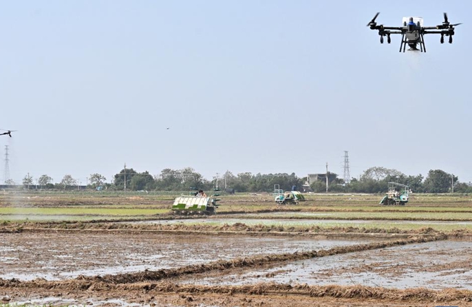 Guangxi, tecnologia potenzia la semina primaverile