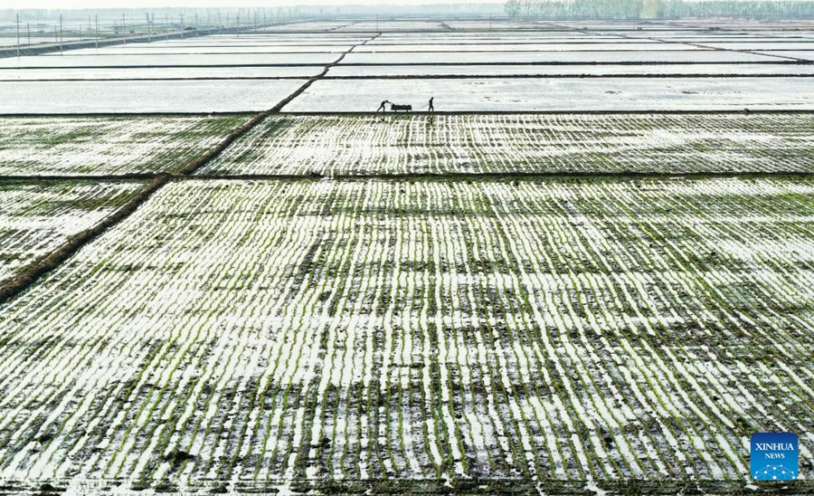Heilongjiang entra nella 