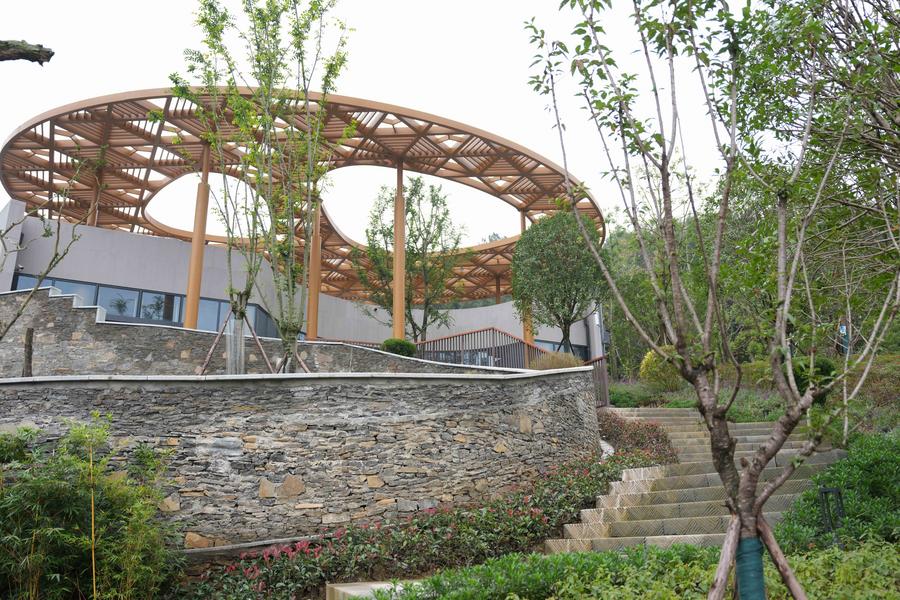 Nuova base per panda giganti entra in funzione in via sperimentale nella Cina sudoccidentale