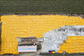 La "nuova agricoltrice" dà nuova energia alla rivitalizzazione rurale con modelli innovativi