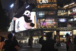 A Chengdu panda in 3D a occhio nudo