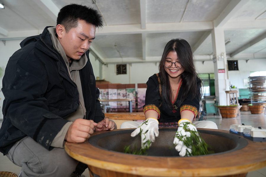 La cultura del tè biologico di Baisha attrae giornalisti stranieri