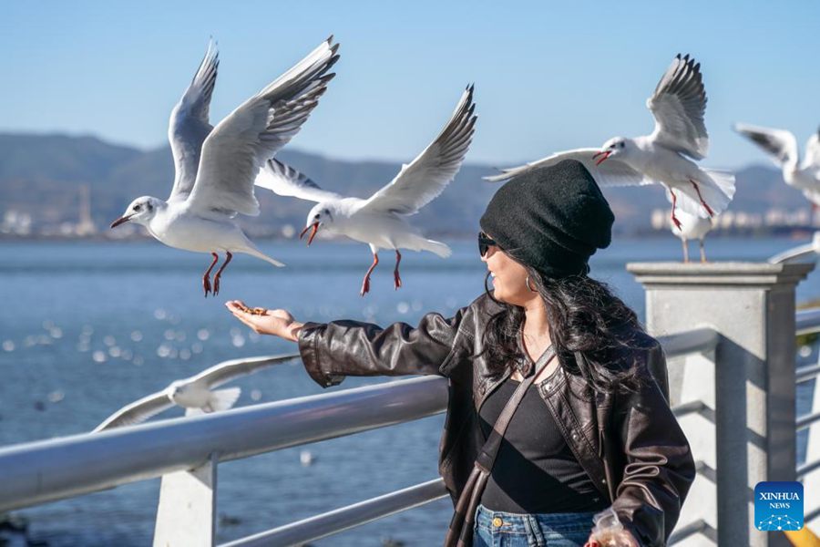 Yunnan, la qualità dell'acqua del Lago Dianchi mantiene un livello elevato
