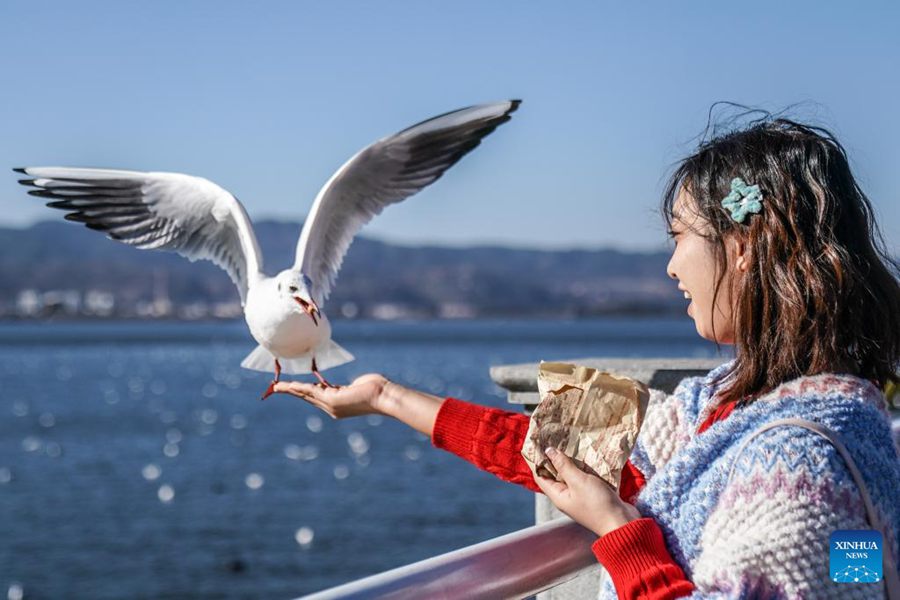 Yunnan, la qualità dell'acqua del Lago Dianchi mantiene un livello elevato
