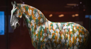 Il Museo Nazionale della Cina lancia una mostra culturale per il Capodanno dell'Anno del Cavallo