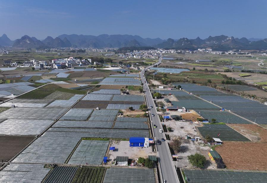 Come la Cina promuove la modernizzazione agricola e la rivitalizzazione rurale