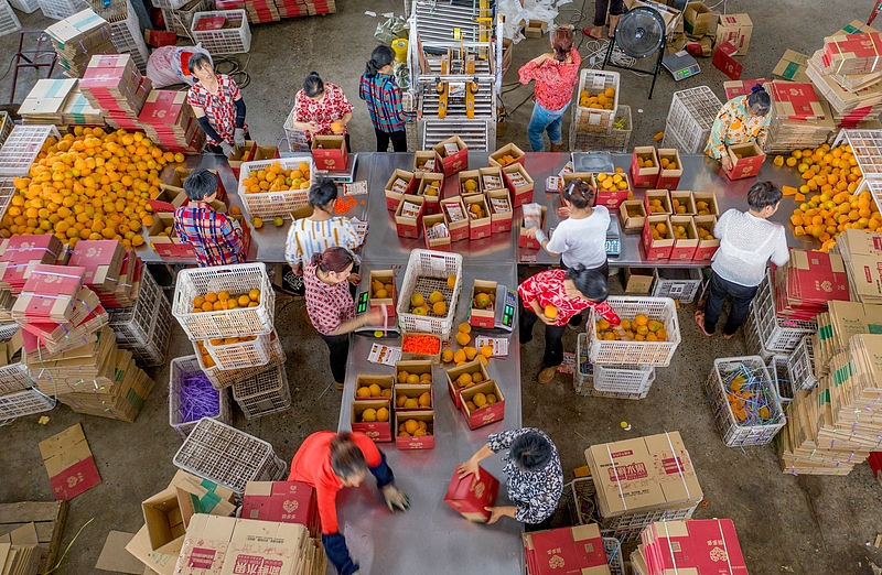 Le vendite al dettaglio online nelle zone rurali della Cina raggiungono i 3 trilioni di yuan nel 2025