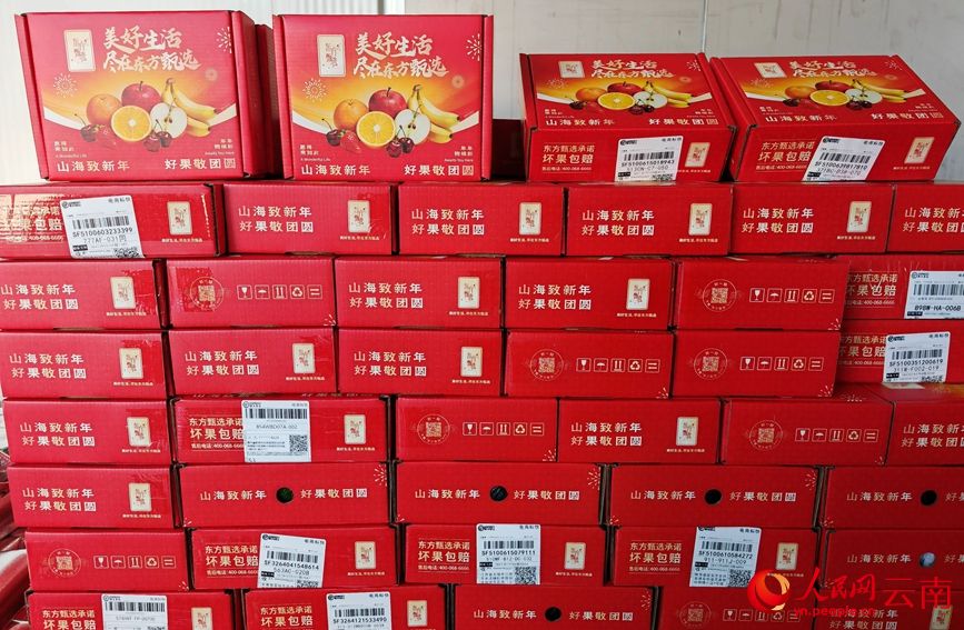 L'avocado dello Yunnan conquista il mercato durante la Festa di Primavera