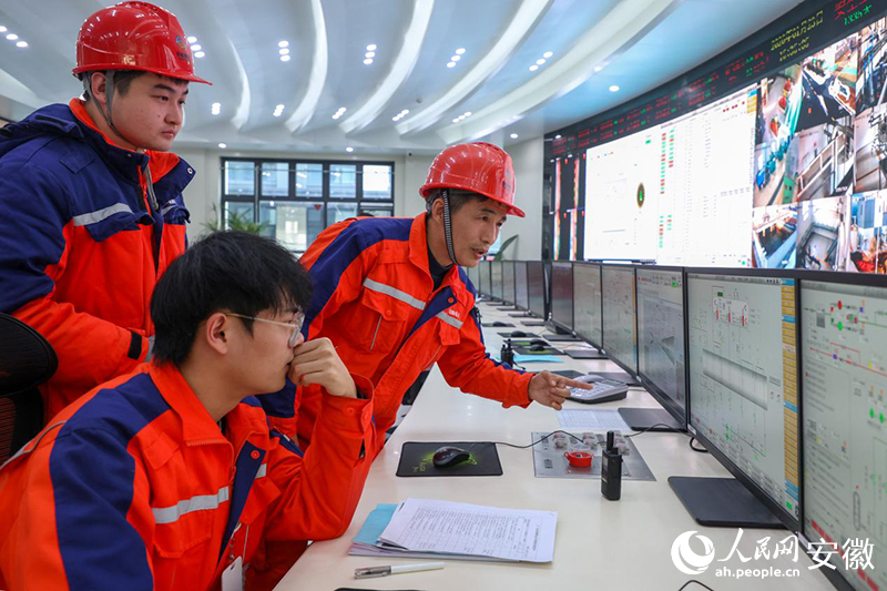 I custodi della rete elettrica